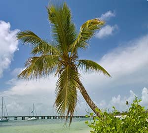 Lower Florida Keys Neighborhoods