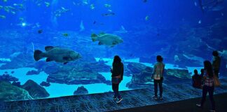 The Florida Aquarium