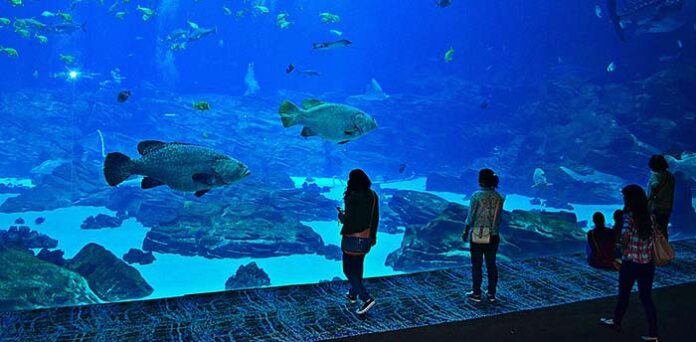 The Florida Aquarium