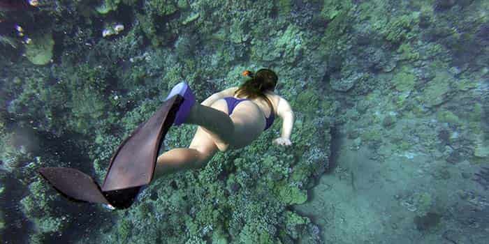 4. Snorkeling