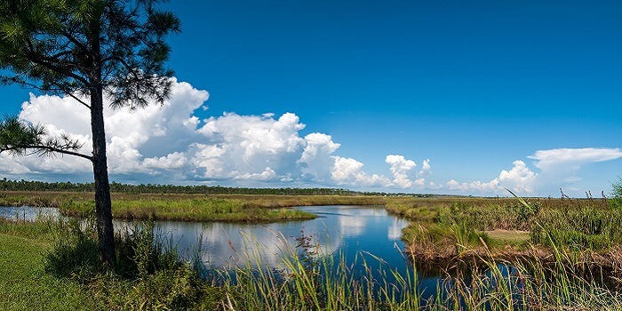 Gulf State Park