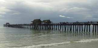 best things to do in naples, florida