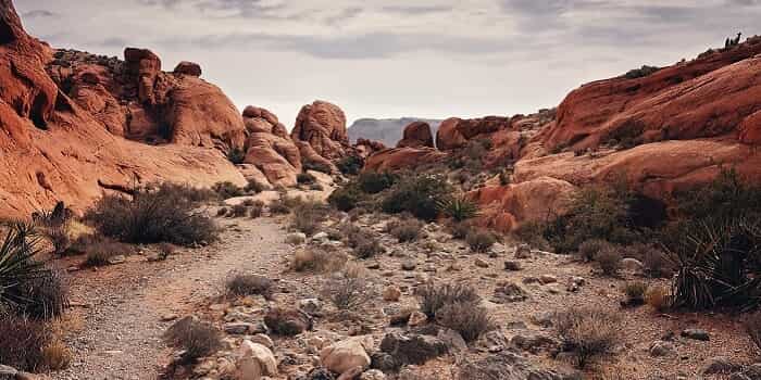 Red Rock Canyon National Conservation Area