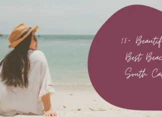 15+ Beautiful and Best Beaches in South California