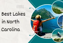 16 Best Lakes in North Carolina