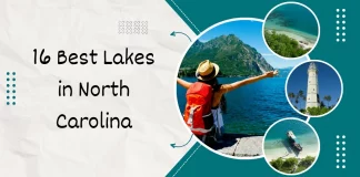 16 Best Lakes in North Carolina