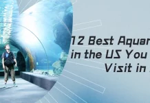 Best Aquariums in the US