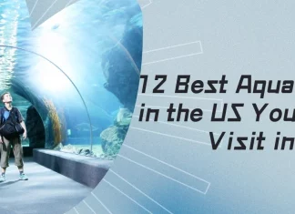 Best Aquariums in the US