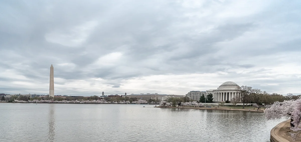 Enjoy Each Other’s Company in the Tidal Basin