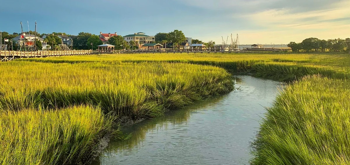 Explore the Creeks and Marshes
