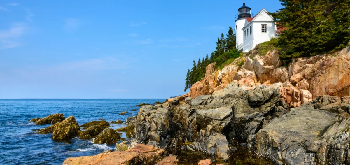 Celebrate Your Love at Acadia National Park