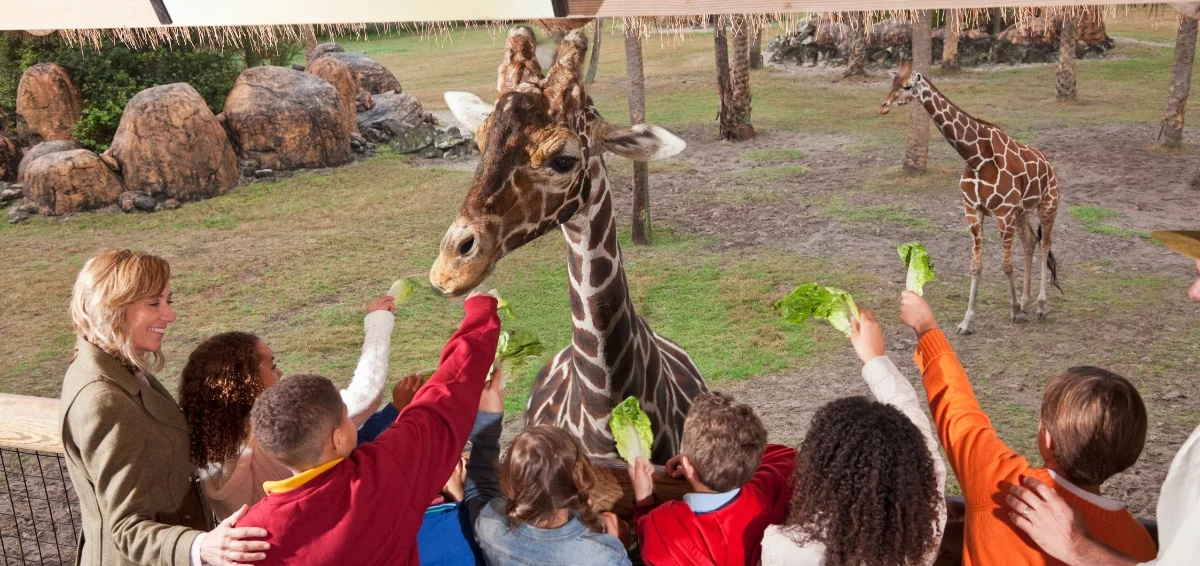 Explore the Animals at the Gulf Breeze Zoo