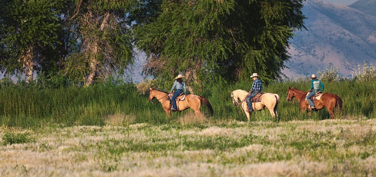 Go Horseback Riding at Bay Haven Farms