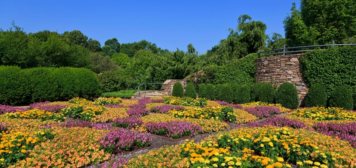 Nannen Arboretum