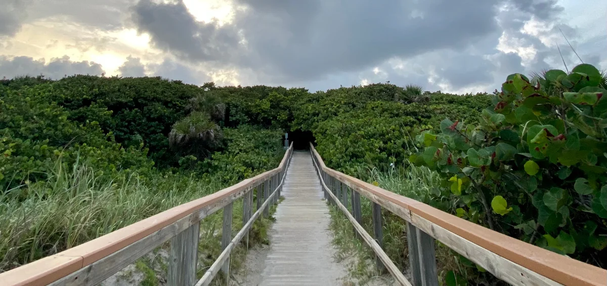 Relax in Ocean Ridge Hammock Park