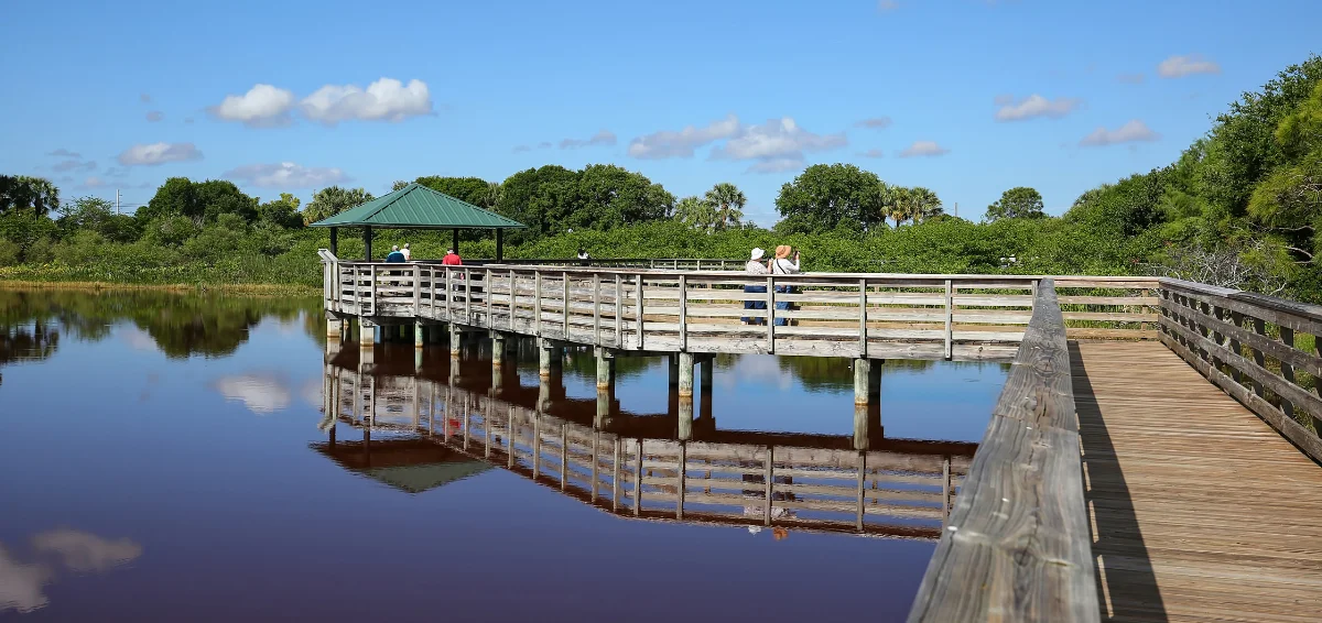 Walk on the Boardwalk in Wakodahatchee Wetlands