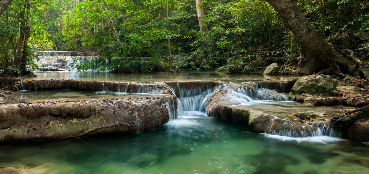 Olympic National Park