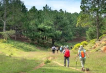 8 Best Legal Nude Beaches in Texas to Visit this Weekend