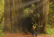 Must-Visit National Parks in California: 12 Amazing Picks National Parks in California