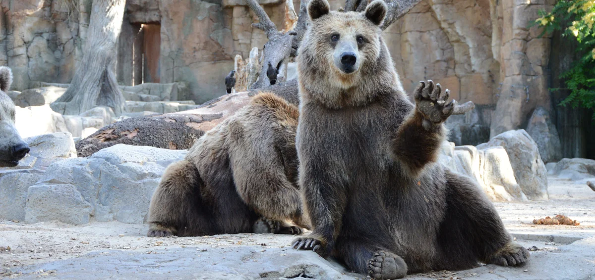 Have a nice time with your kids at the El Paso Zoo and Botanical Gardens