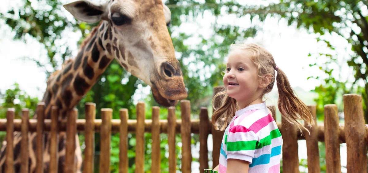 Take an Interactive Tour at the Croco Cun Zoo