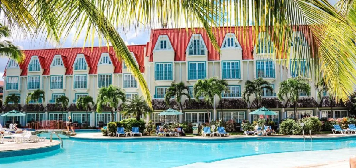 Coco Palm