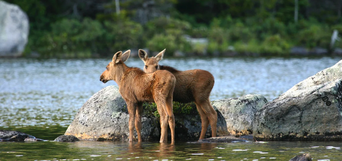 Baxter State Park