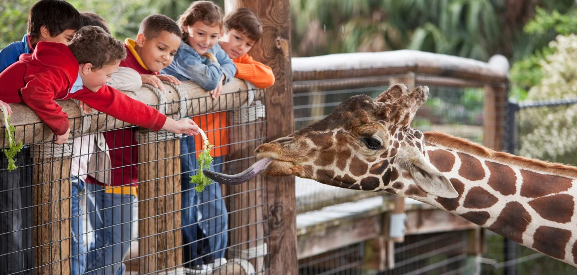 Zoo Tampa at Lowry Park