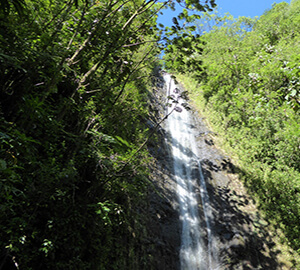 Honolulu Attraction: Manoa Falls