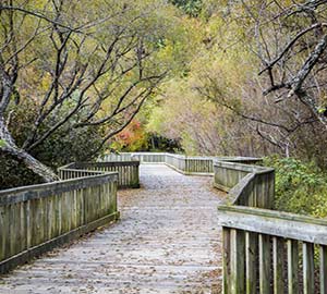 Raleigh Attraction: Lake Lynn