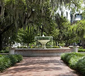 Savannah Attraction: Squares