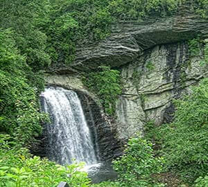 Asheville Attraction: Pisgah National Forest