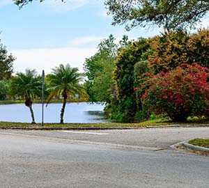 Saint Pete Beach Attraction: Bradenton Beach Marina