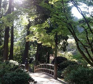 Portland Attraction: Portland Japanese Garden