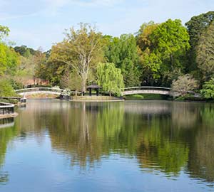 Raleigh Attraction: Pullen Park