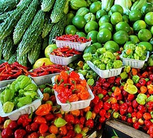 Cape Coral Attraction: Cape Coral Farmers' Market