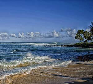 Hanauma Bay Nature Preserve Attraction: North Shore