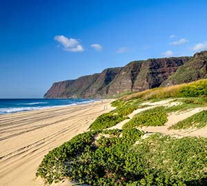 Kauai Attraction: Polihale State Park