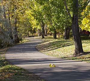 Boise Attraction: Boise Greenbelt