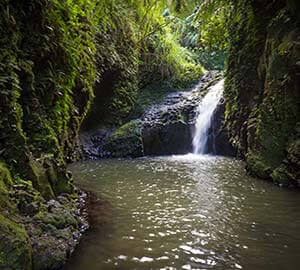 Kailua Beach Park Attraction: Maunawili Falls