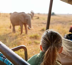 Sonoma Attraction: Safari West