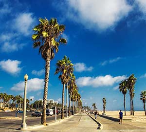 Los Angeles Attraction: Venice Beach and Boardwalk