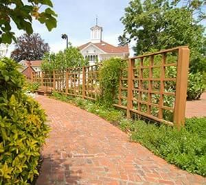 Sonoma Attraction: Luther Burbank Gardens