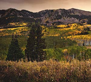 Park City Attraction: Guardsman Pass Scenic Backway