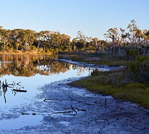 Jacksonville Attraction: Big Talbot Island