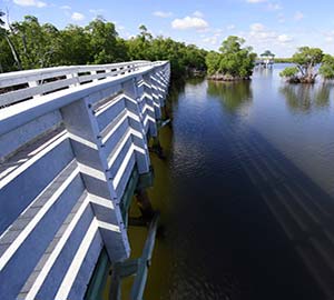 Hollywood Beach Attraction: Anne Kolb Nature Center