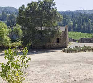 Sonoma Attraction: Jack London State Historic Park