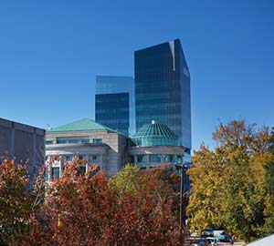 Raleigh Attraction: North Carolina Museum of Natural Sciences