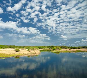 North Port Attraction: Myakka River State Park