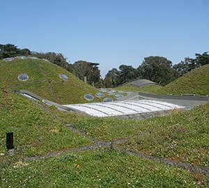 San Francisco Attraction: California Academy of Sciences